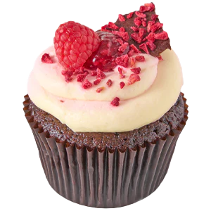 Chocolate and Raspberry Cupcake