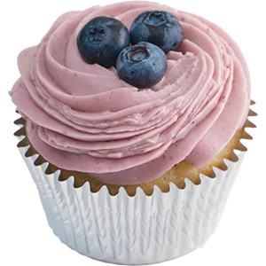 Gluten Free Blueberry Cupcake