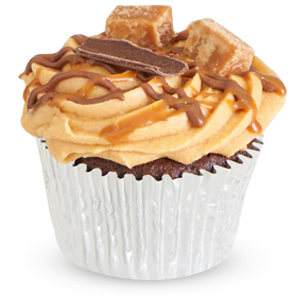 Gluten Free Salted Caramel Cupcake