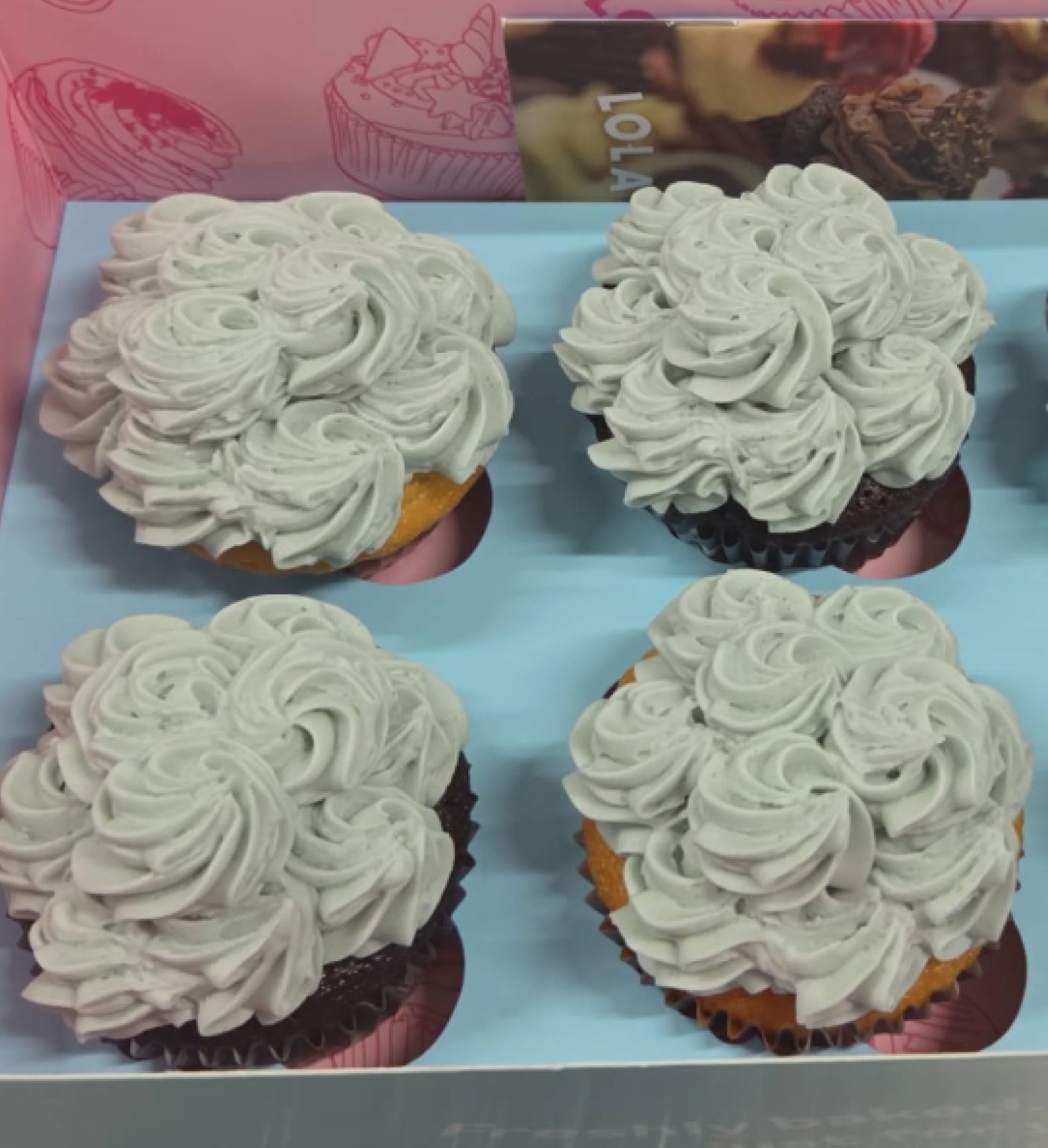 Golden Tours Snowman Cupcake Box
