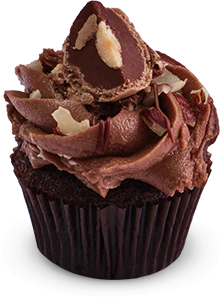 Old Chocolate Hazelnut Mini Cupcake