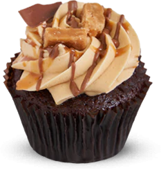 Old Salted Caramel Mini Cupcake