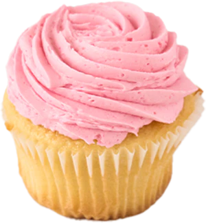 Photo Cupcake Vanilla with Pink Icing