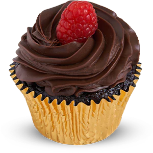 Vegan Gluten Free Fudge Cupcake