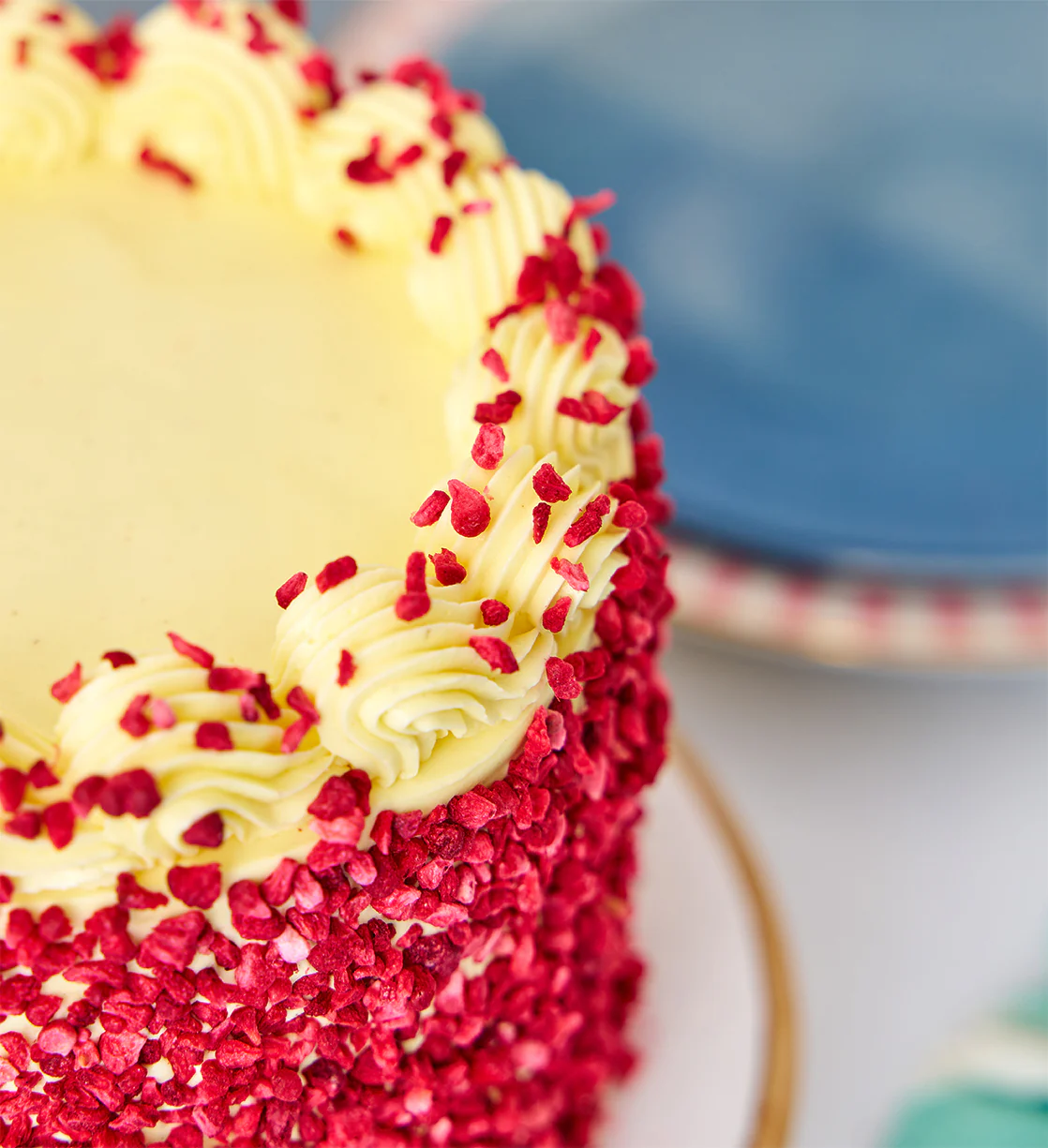 Vegan and Gluten Free Lemon and Raspberry Nationwide Cake - Image 6