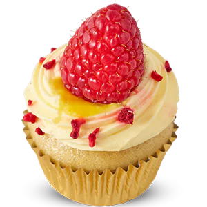 Vegan Raspberry and Passionfruit Mini Cupcake